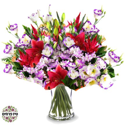 זר פרחים אהבה קולומביאנית טיז פרחים באר שבע
