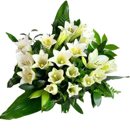 זר שושן צחור טוהר טיז פרחים