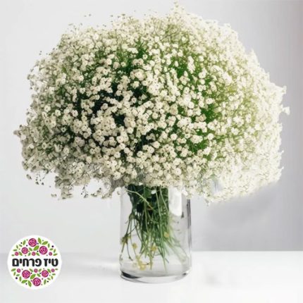 פרחים שעושים את ההבדל – בעיצובים מיוחדים לכל רגע