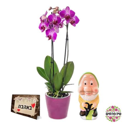 חנות הפרחים שתשאיר רושם בלתי נשכח